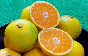 Fresh Japanese mikan, with one cut open to reveal its bright orange segments—symbol of Emperor Suinin’s legend and the fruit of loyalty in Japanese history.
