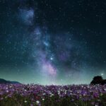 A star-filled night sky and the Milky Way shining above a field of purple wildflowers — a vision of harmony between Earth and the cosmos, symbolizing humanity’s awakening to resonance.